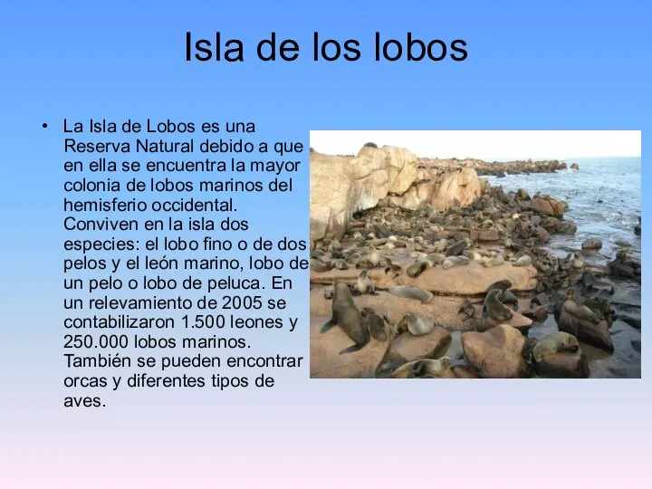 Isla de los lobos La Isla de Lobos es una Reserva Natural debido
