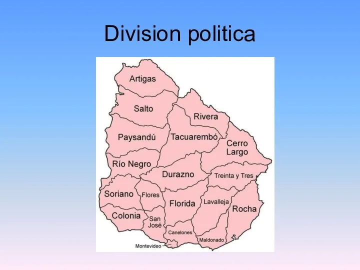 Division politica