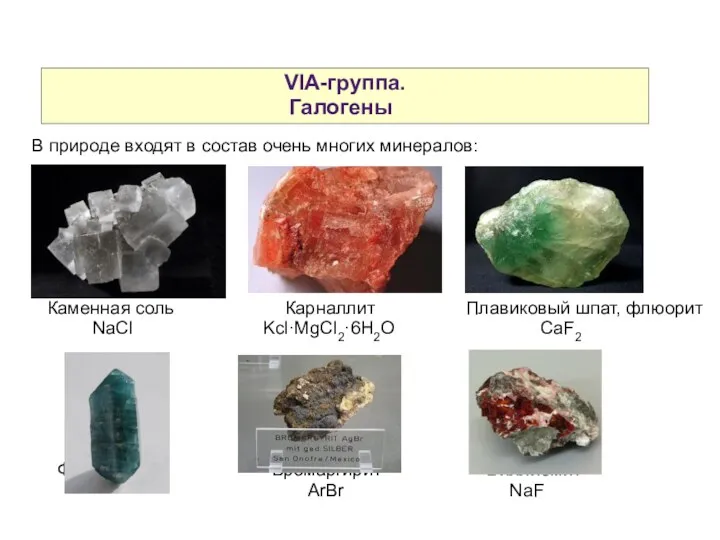 VIA-группа. Галогены В природе входят в состав очень многих минералов: