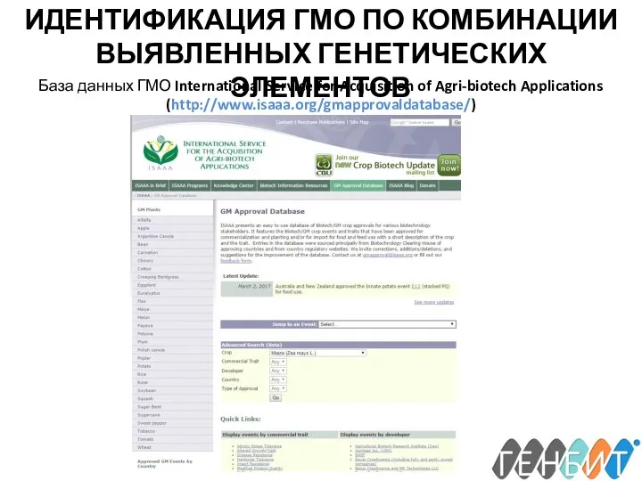 ИДЕНТИФИКАЦИЯ ГМО ПО КОМБИНАЦИИ ВЫЯВЛЕННЫХ ГЕНЕТИЧЕСКИХ ЭЛЕМЕНТОВ База данных ГМО