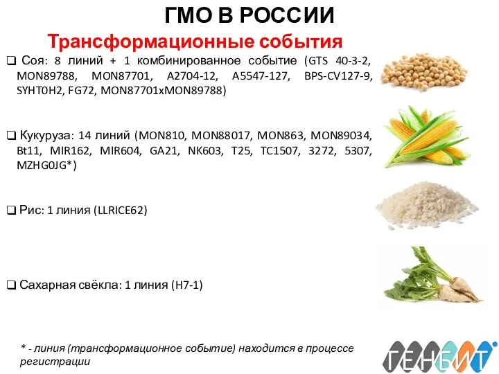 ГМО В РОССИИ Трансформационные события Соя: 8 линий + 1