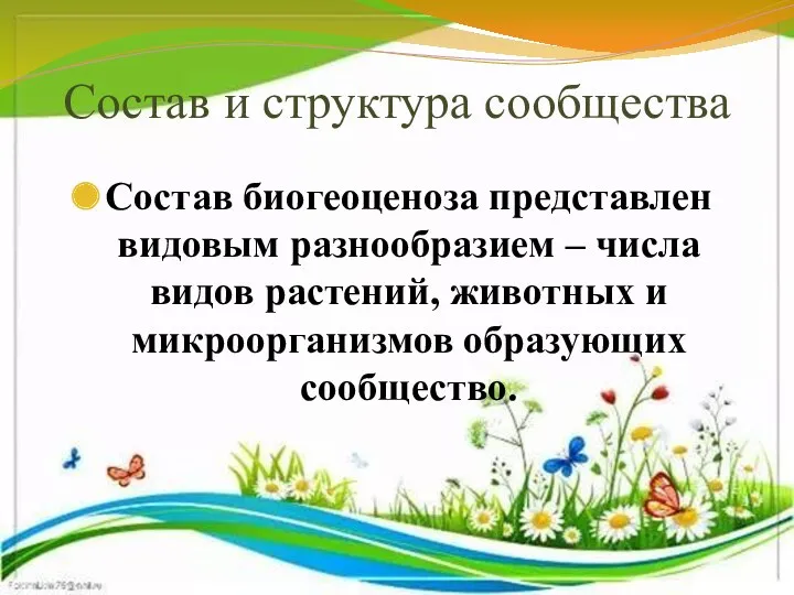 Состав и структура сообщества Состав биогеоценоза представлен видовым разнообразием –