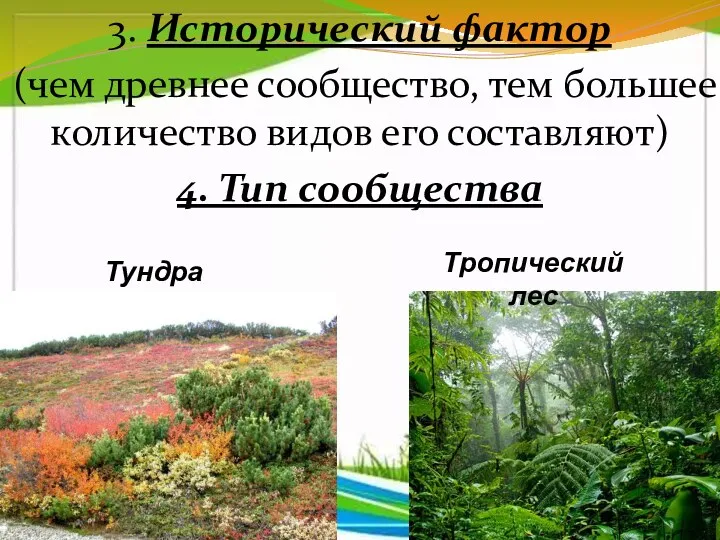 3. Исторический фактор (чем древнее сообщество, тем большее количество видов