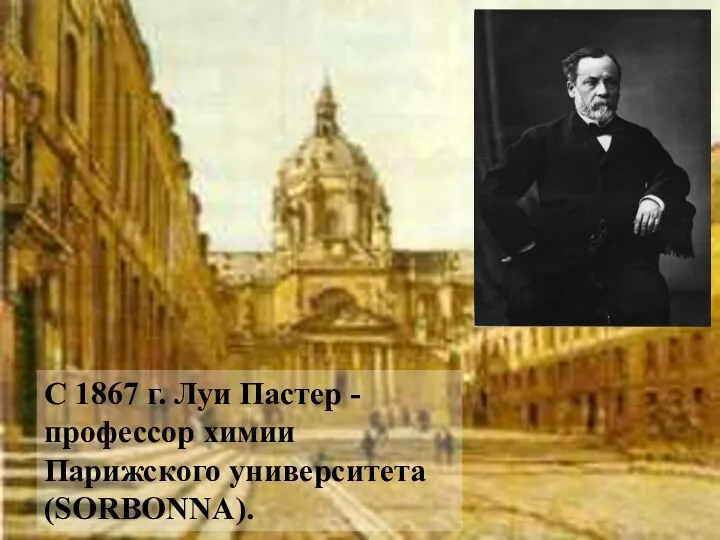 С 1867 г. Луи Пастер - профессор химии Парижского университета (SORBONNA).
