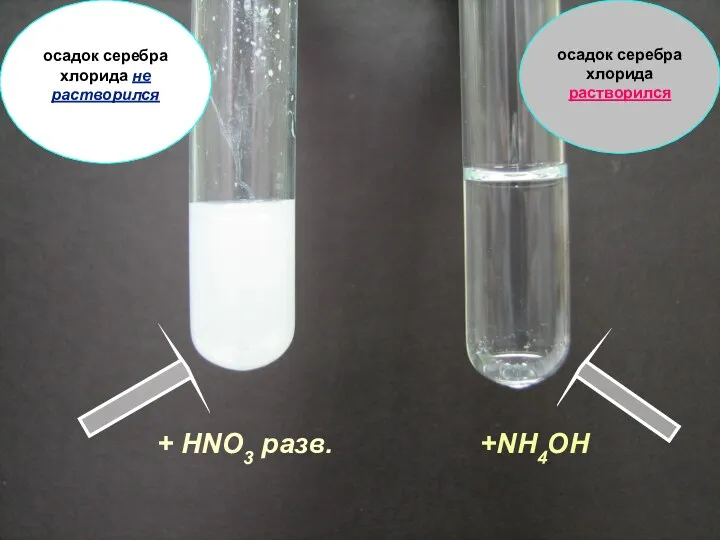 осадок серебра хлорида не растворился осадок серебра хлорида растворился + HNO3 разв. +NH4OH