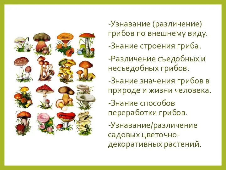 -Узнавание (различение) грибов по внешнему виду. -Знание строения гриба. -Различение
