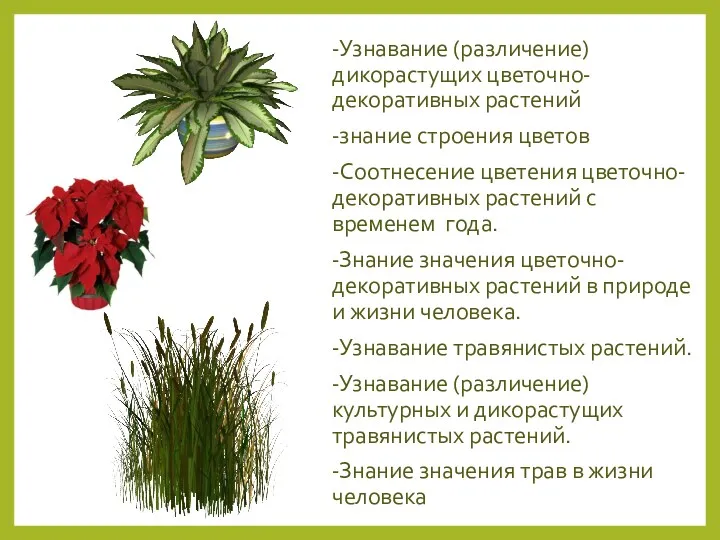 -Узнавание (различение) дикорастущих цветочно-декоративных растений -знание строения цветов -Соотнесение цветения