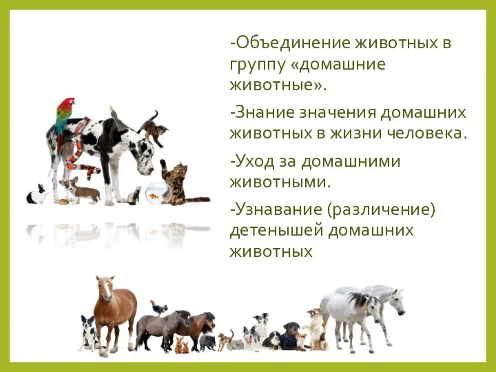 -Объединение животных в группу «домашние животные». -Знание значения домашних животных