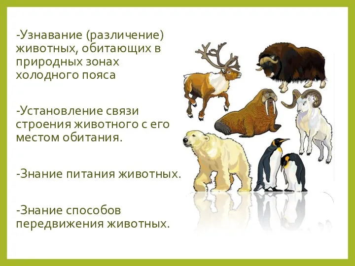 -Узнавание (различение) животных, обитающих в природных зонах холодного пояса -Установление