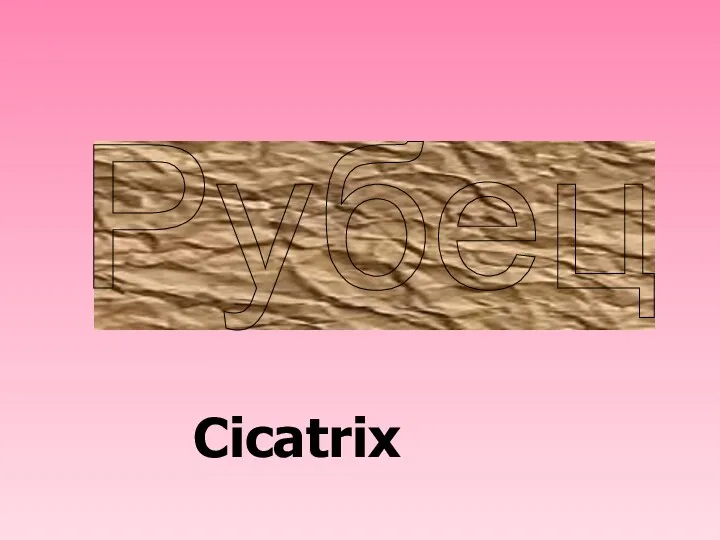Рубец Cicatrix