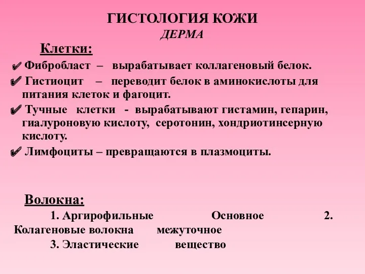 ГИСТОЛОГИЯ КОЖИ ДЕРМА Волокна: 1. Аргирофильные Основное 2. Колагеновые волокна