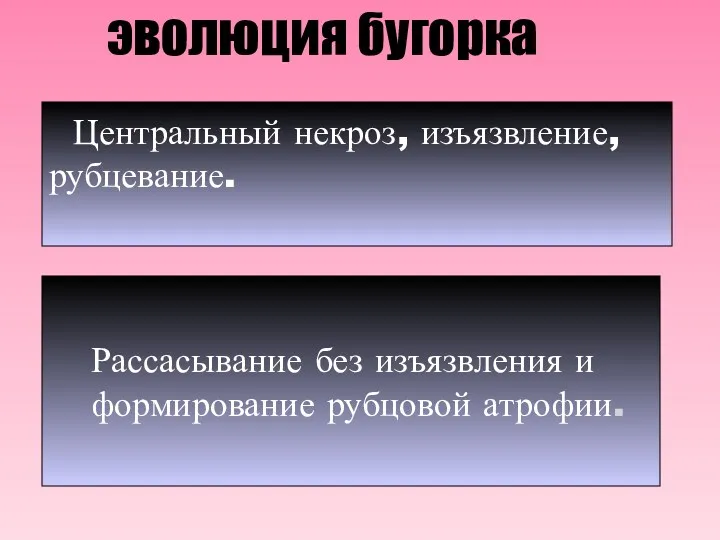 Рассасывание без изъязвления и формирование рубцовой атрофии. Центральный некроз, изъязвление, рубцевание. эволюция бугорка