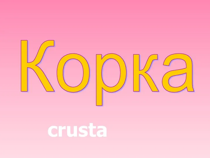 Корка crusta