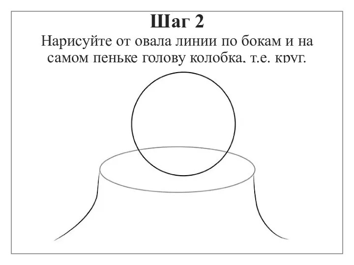 Шаг 2 Нарисуйте от овала линии по бокам и на самом пеньке голову колобка, т.е. круг.