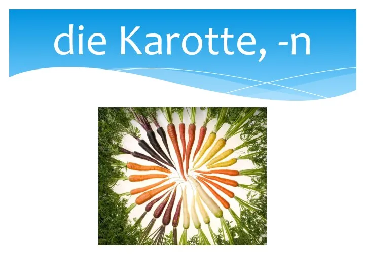 die Karotte, -n