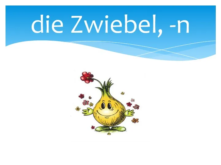 die Zwiebel, -n