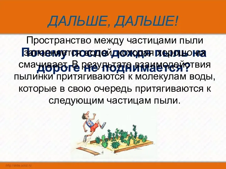 ДАЛЬШЕ, ДАЛЬШЕ! Почему после дождя пыль на дороге не поднимается?