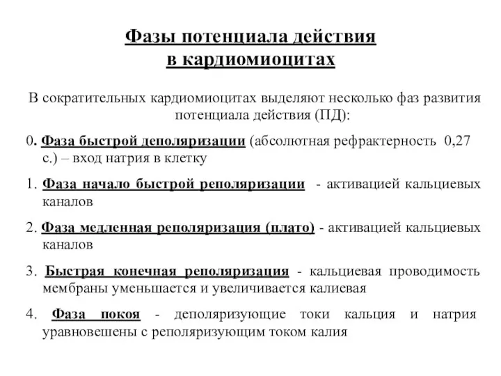 Фазы потенциала действия в кардиомиоцитах В сократительных кардиомиоцитах выделяют несколько