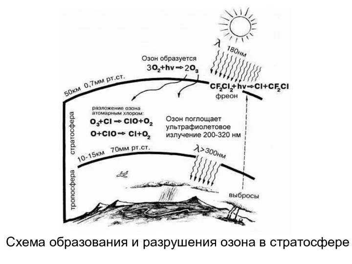 Схема образования и разрушения озона в стратосфере