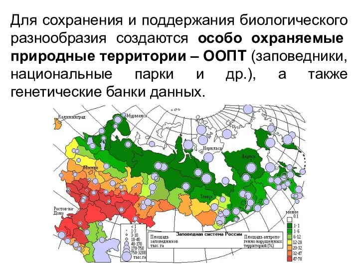 Для сохранения и поддержания биологического разнообразия создаются особо охраняемые природные