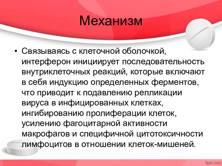 Механизм Связываясь с клеточной оболочкой, интерферон инициирует последовательность внутриклеточных реакций,