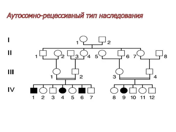 Аутосомно-рецессивный тип наследования