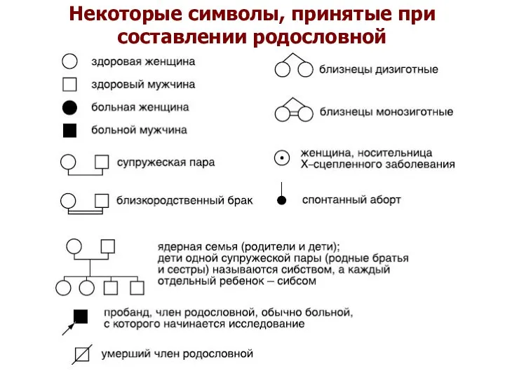 Некоторые символы, принятые при составлении родословной