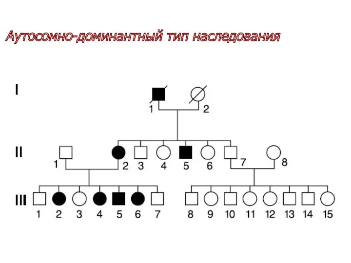 Аутосомно-доминантный тип наследования