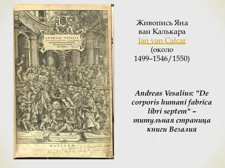 Живопись Яна ван Калькара Jan van Calcar (около 1499–1546/1550) Andreas Vesalius: "De corporis
