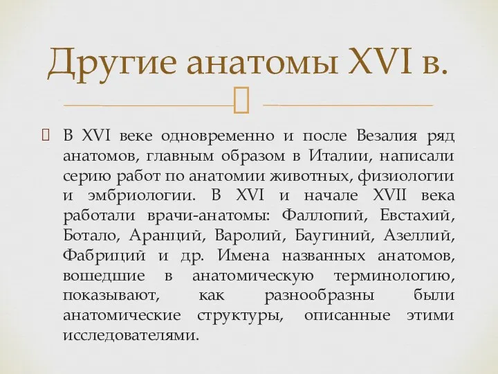 В XVI веке одновременно и после Везалия ряд анатомов, главным образом в Италии,