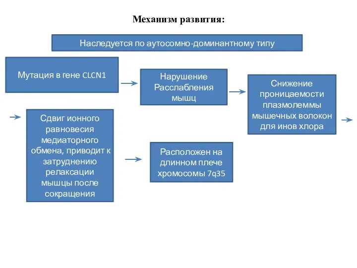 Механизм развития: Наследуется по аутосомно-доминантному типу Мутация в гене CLCN1 Нарушение Расслабления мышц