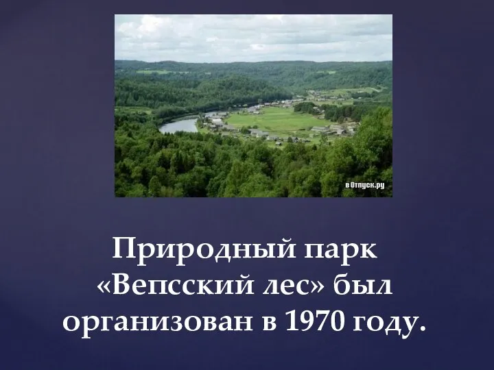 Природный парк «Вепсский лес» был организован в 1970 году.
