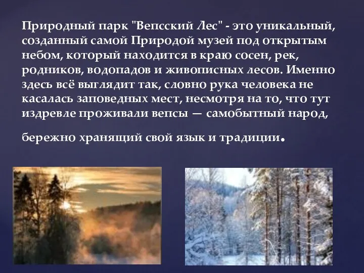 Природный парк "Вепсский Лес" - это уникальный, созданный самой Природой музей под открытым