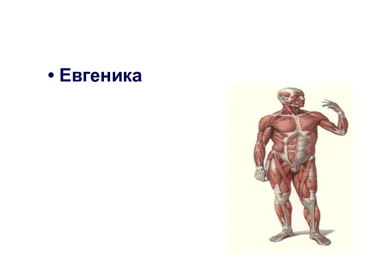 Евгеника