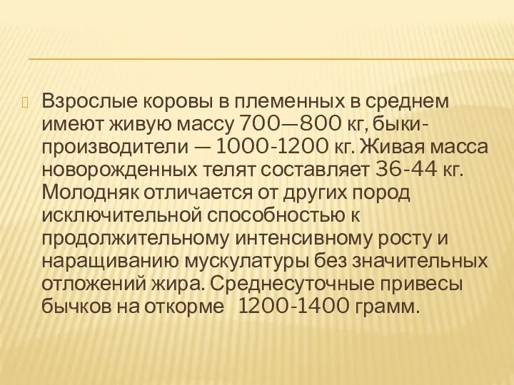 Взрослые коровы в племенных в среднем имеют живую массу 700—800