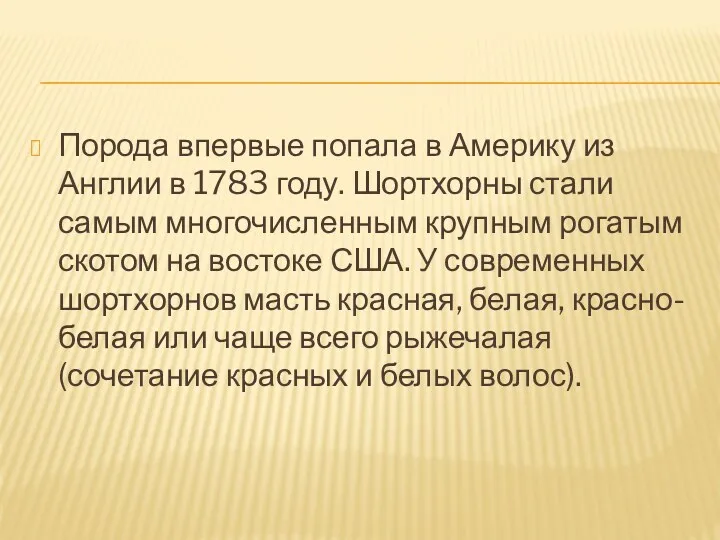 Порода впервые попала в Америку из Англии в 1783 году.