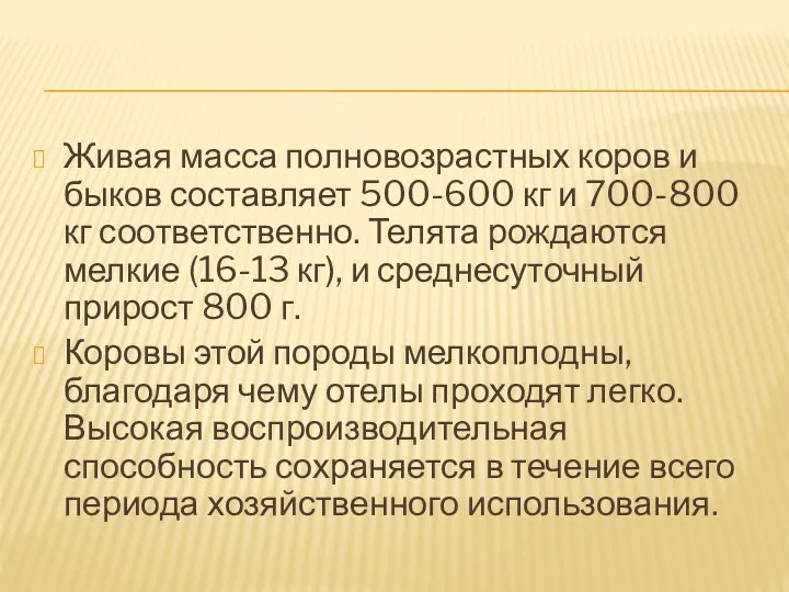 Живая масса полновозрастных коров и быков составляет 500-600 кг и