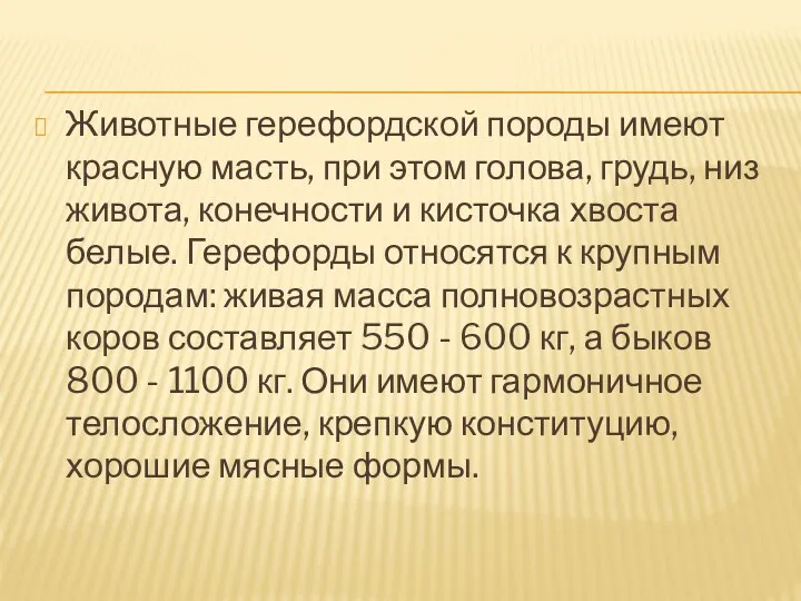 Животные герефордской породы имеют красную масть, при этом голова, грудь,