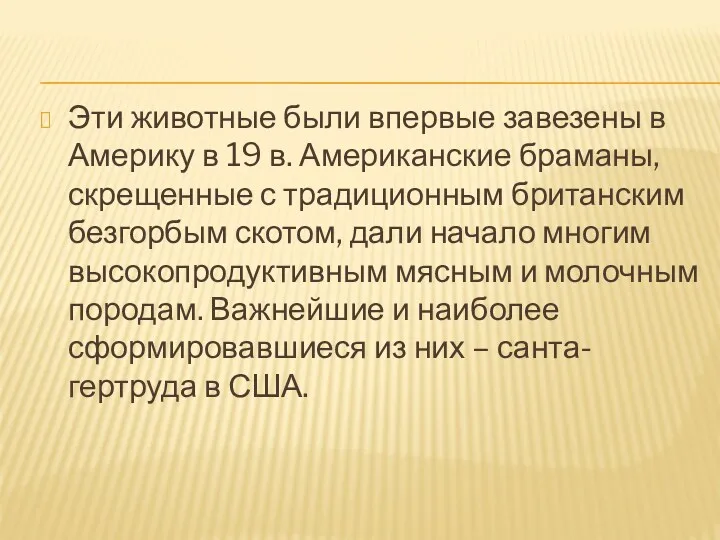 Эти животные были впервые завезены в Америку в 19 в.