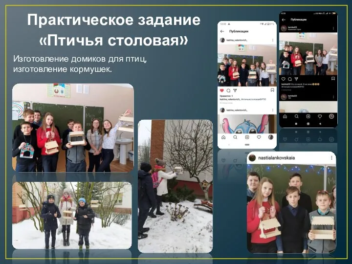 Практическое задание «Птичья столовая» Изготовление домиков для птиц, изготовление кормушек.