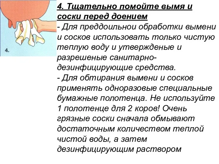 4. Тщательно помойте вымя и соски перед доением - Для преддоильнои обработки вымени