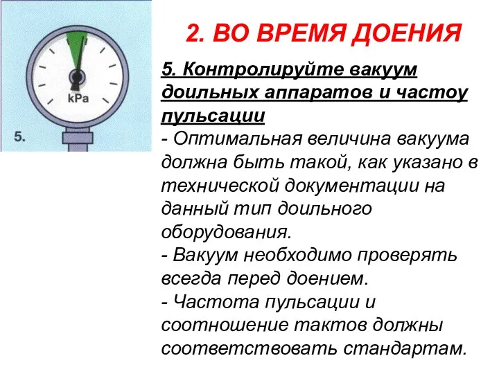 2. ВО ВРЕМЯ ДОЕНИЯ 5. Контролируйте вакуум доильных аппаратов и частоу пульсации -