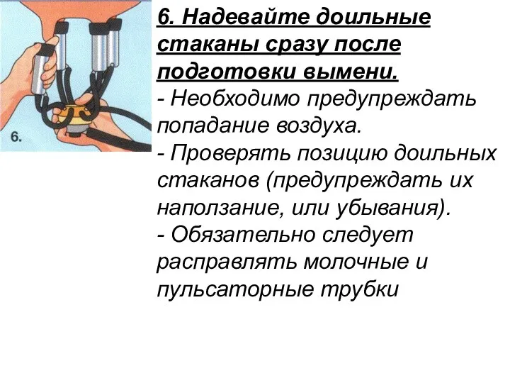 6. Надевайте доильные стаканы сразу после подготовки вымени. - Необходимо предупреждать попадание воздуха.