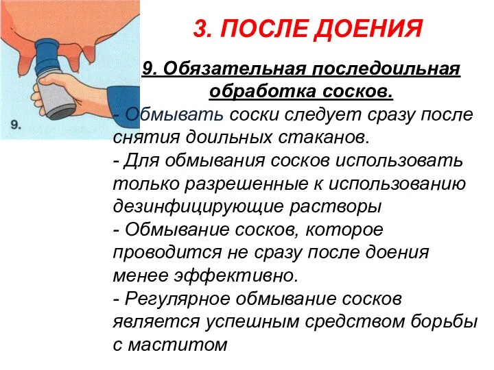 3. ПОСЛЕ ДОЕНИЯ 9. Обязательная последоильная обработка сосков. - Обмывать соски следует сразу