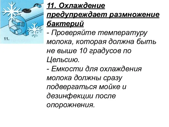 11. Охлаждение предупреждает размножение бактерий - Проверяйте температуру молока, которая