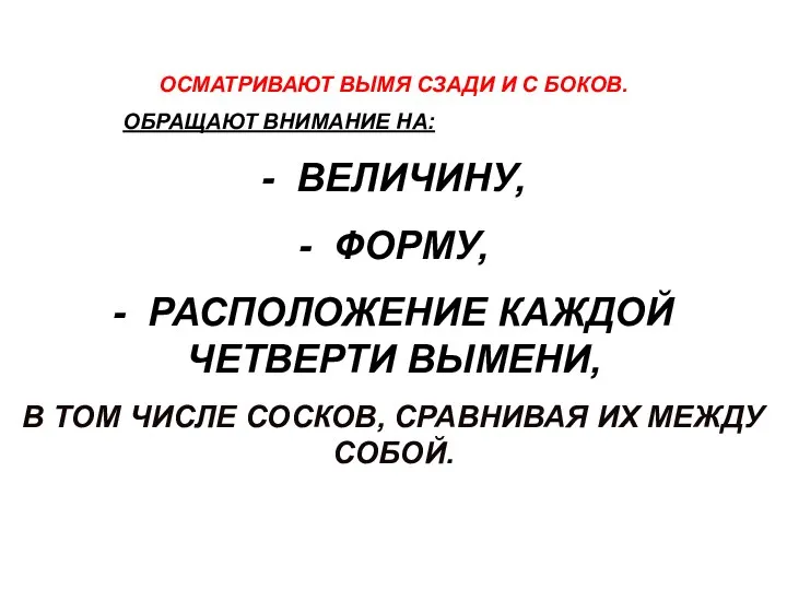 ОСМАТРИВАЮТ ВЫМЯ СЗАДИ И С БОКОВ. ОБРАЩАЮТ ВНИМАНИЕ НА: - ВЕЛИЧИНУ, - ФОРМУ,