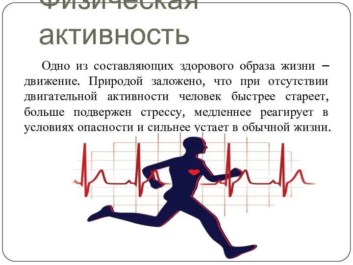 Физическая активность Одно из составляющих здорового образа жизни – движение.