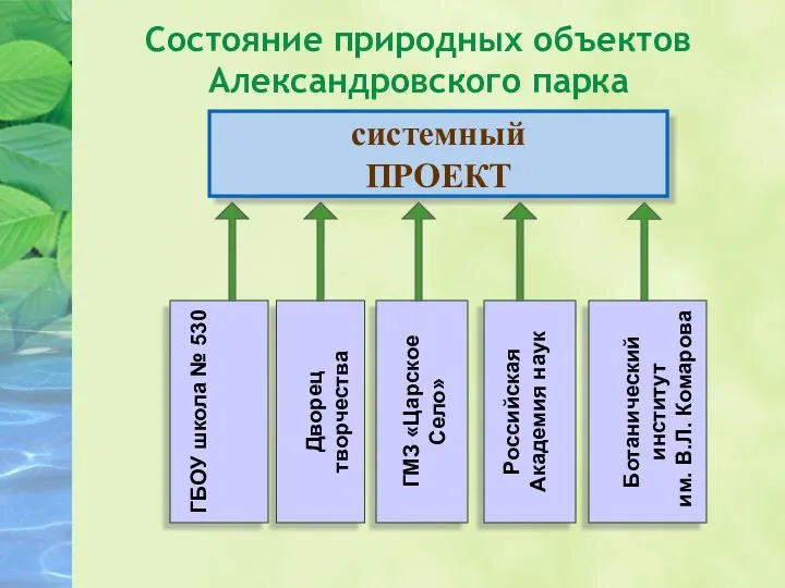 Состояние природных объектов Александровского парка