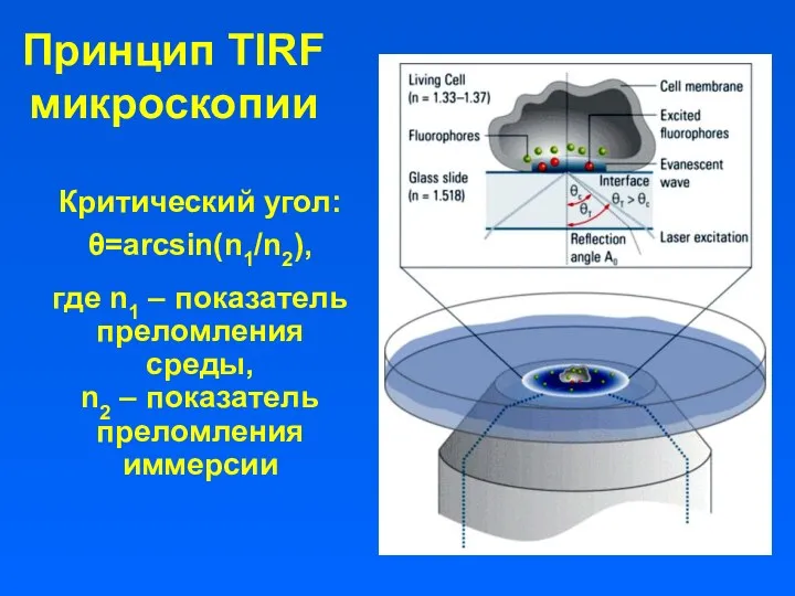 Принцип TIRF микроскопии Критический угол: θ=arcsin(n1/n2), где n1 – показатель преломления среды, n2