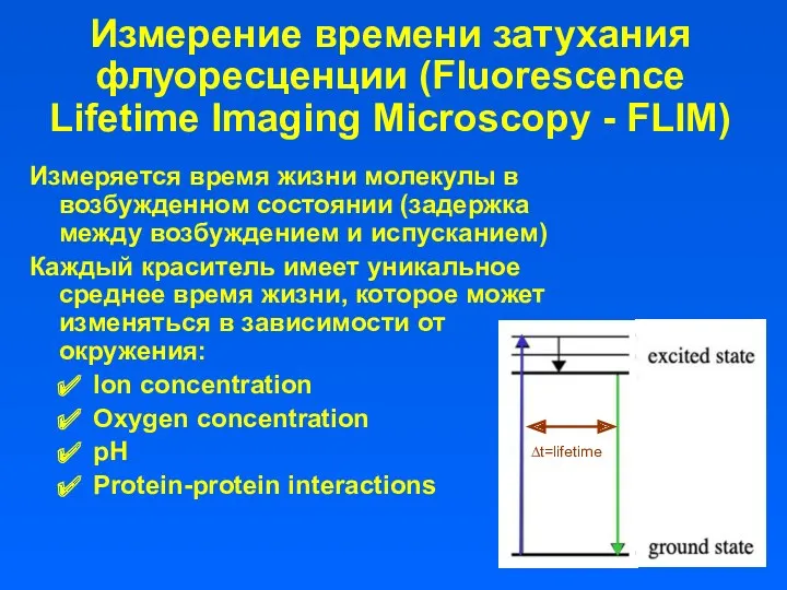Измерение времени затухания флуоресценции (Fluorescence Lifetime Imaging Microscopy - FLIM) Измеряется время жизни